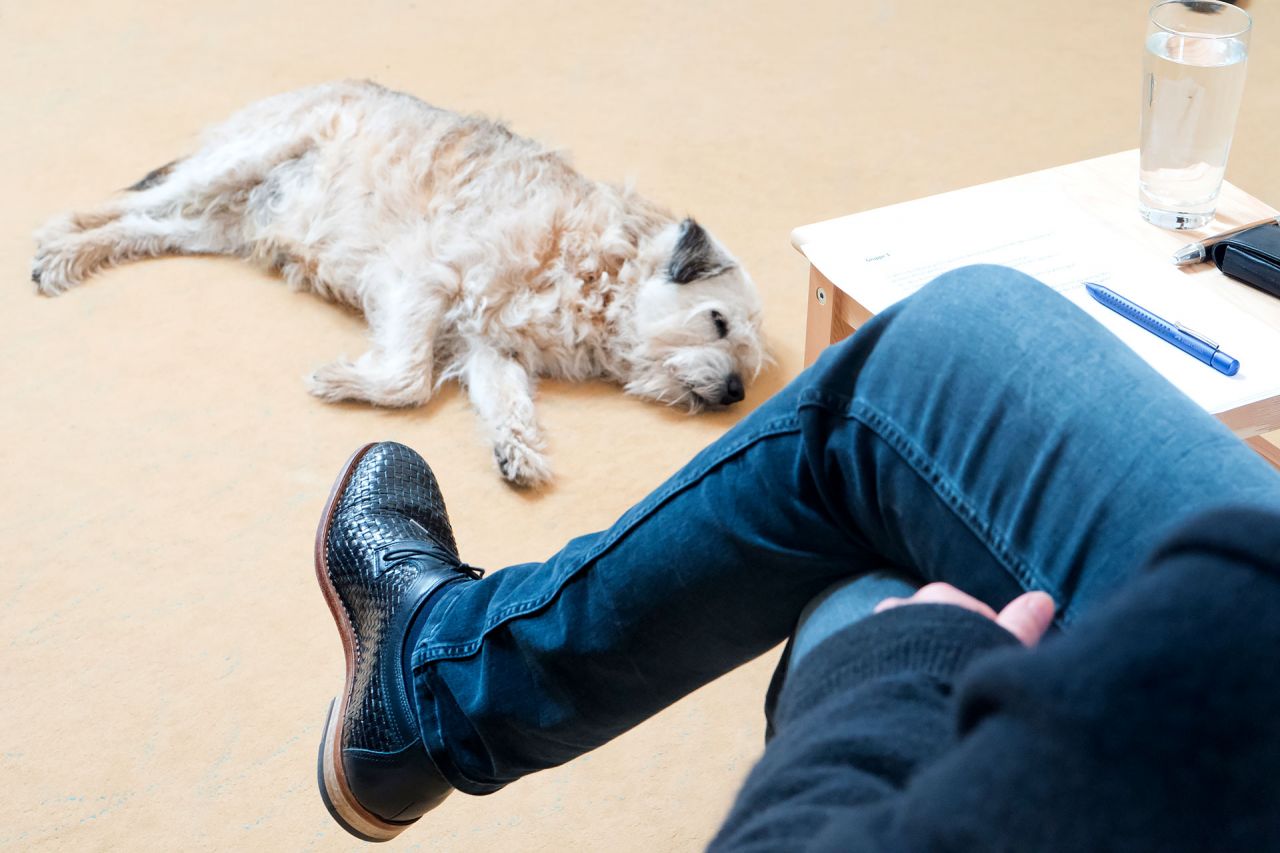 Anmeldung für die Ausbildung «Individualpsychologischer Berater ADI®» Bein einer Teilnehmerin und Hund am Boden