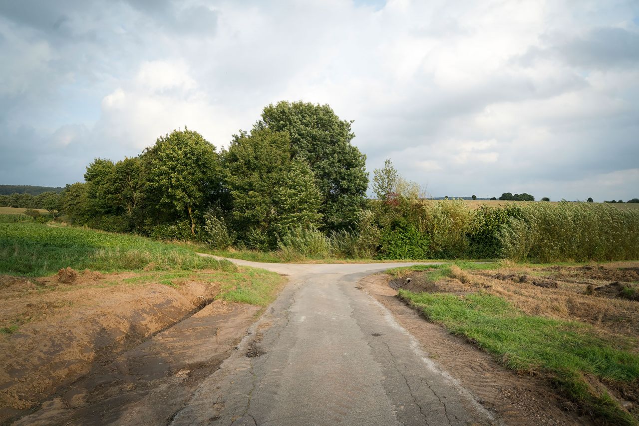 Ein Weg führt zum Horizont und teilt sich links und rechts
